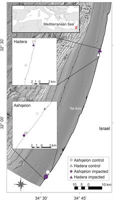 Using Stable Carbon and Nitrogen Isotopes to Investigate the Impact of Desalination Brine Discharge on Marine Food Webs